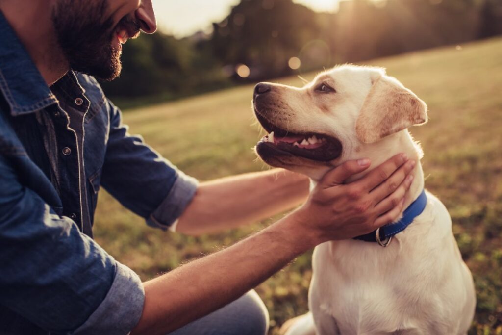 Quando il tuo cane piange di gioia: un'emozione autentica e profonda